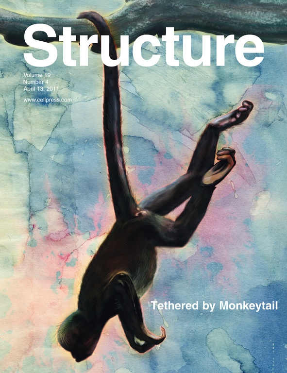 Structure_Cover_April_2011
